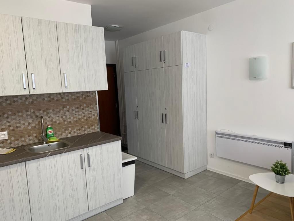 Flora Clover One Bedroom Apartment Nr. 18 Borovets Eksteriør billede